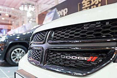 模拟经营《宠物店模拟器》Steam页面上线 支持简繁体中文